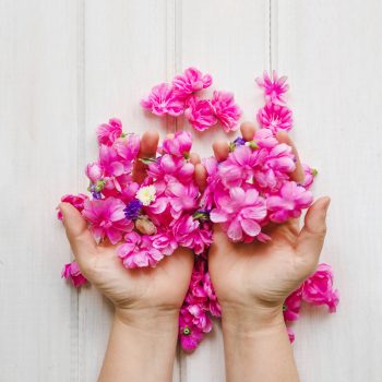 crop-hands-with-pink-flowers